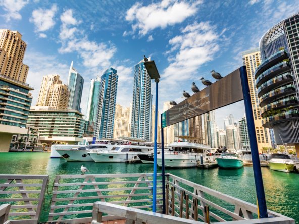 Vue de Marina Dubai, l’un des quartiers préférés des expatriés britanniques.